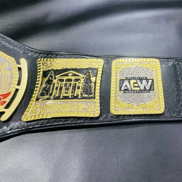 NEW AEW TNT CHAMPIONSHIP BELT