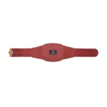 New York Knicks WWE Legacy Title Belt