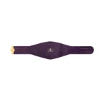 Sacramento Kings WWE Legacy Title Belt
