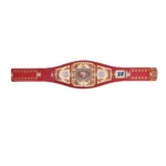 San Francisco 49ers WWE Legacy Title Belt