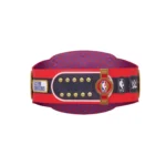 Toronto Raptors WWE Legacy Title Belt